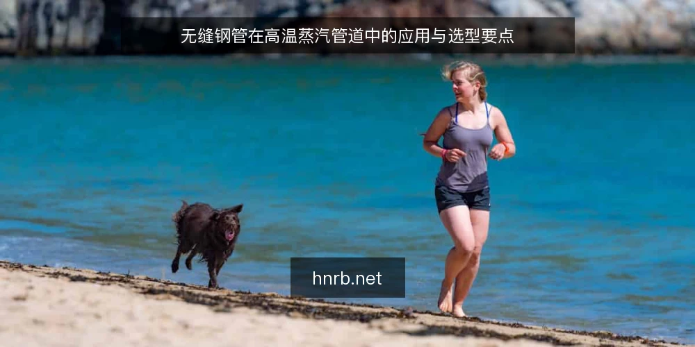 无缝钢管在高温蒸汽管道中的应用与选型要点 — 高温蒸汽管道的工作环境与性能要求 配图